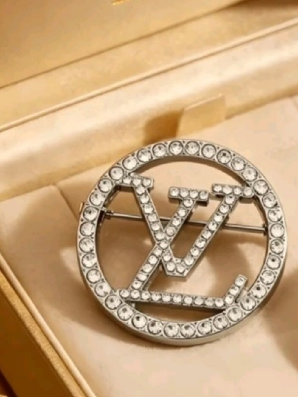 Luxury Style Brooch